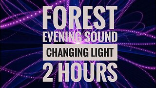 2 Hours of Forest Evening Sounds and Changing Lights for a Serene and Mesmerizing Experience