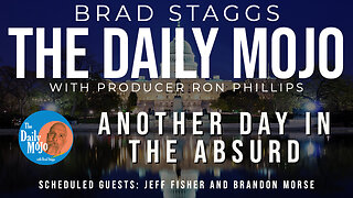 LIVE: Another Day In The Absurd - The Daily Mojo