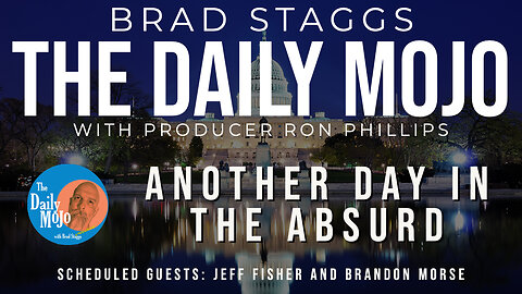 LIVE: Another Day In The Absurd - The Daily Mojo