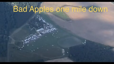 Part II A MILE ABOVE Bad Apples fly in - 2021