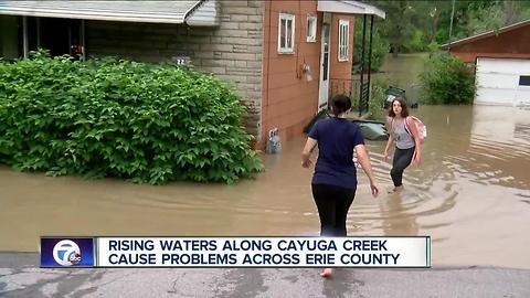 Rising waters along Cayuga Creek Road