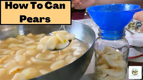 How To Can Pears | So Easy!