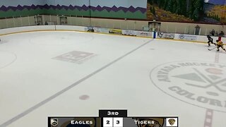 10/20/23 - Colorado Springs Tigers vs Golden State Elite Eagles (14u AA)