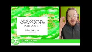 Quais comidas de Páscoa o Cachorro pode comer? | Dr. Edgard Gomes | Alimentação natural para Cães