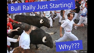 Bull Market Will Continue, Bank Short Squeeze, USD fake out, a trader tip & Copy Trading Services