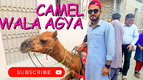 camel wala agya Gali Mai🐪 ? #vlog #viralvlogs