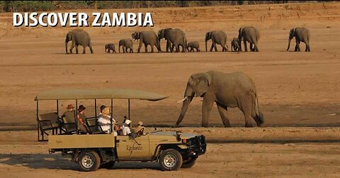 Discover the amazing country of Zambia