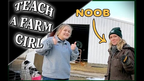 What Does a Growing Cow Eat?! - Teach a Farm Girl Series #7