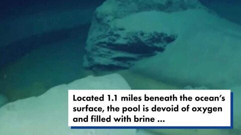 Deadly pool discovered at bottom of ocean kills everything that swims into it