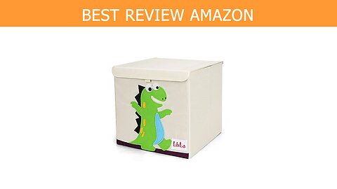 LBLA Foldable Organizer Toddlers Dinosaur Review