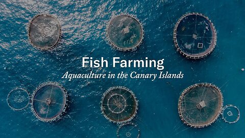 Fish Farming | Aquaculture in the Canary Islands