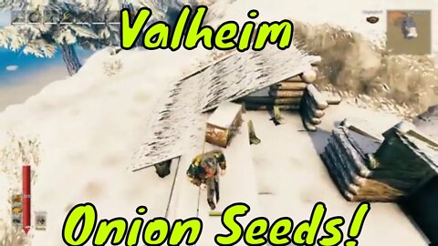 Valheim How to Find Onion Seeds!