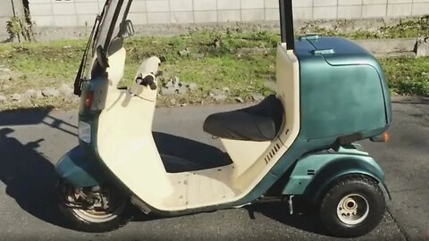 タダで貰ったけど、やっぱ乗る勇気無いわ。このバイクw【クルマ】