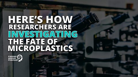Here’s How Researchers Are Investigating the Fate of Microplastics