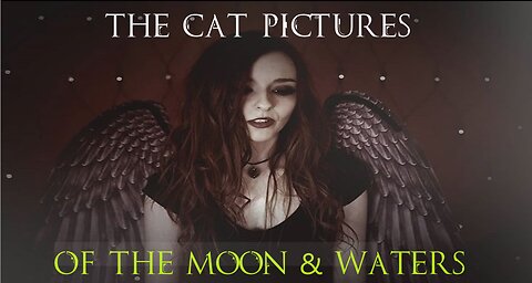 The Cat Pictures (feat. Rena Bond) - Of the Moon and Waters