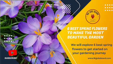 6 Best Spring Flowers to Make the Most Beautiful Garden