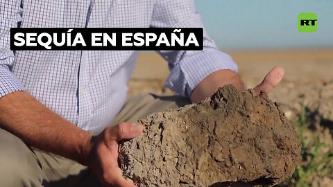 Crean una red de puntos de provisión de agua para animales en el sur de España ante la sequía