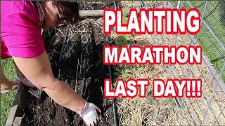 LAST DAY!! GARDEN MARATHON | June 2024 #kitchengarden #gardeningvideos #homesteadgarden