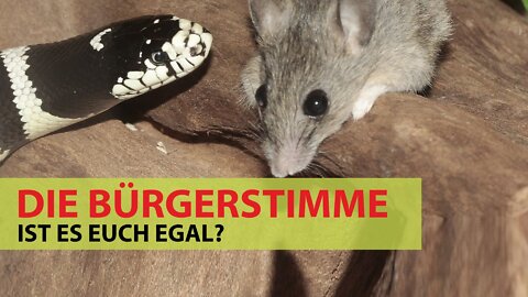 Ist es euch egal? - Die Bürgerstimme Burgenlandkreis