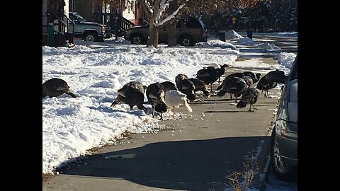 Just the local gang....even has some "Whitey's", lol