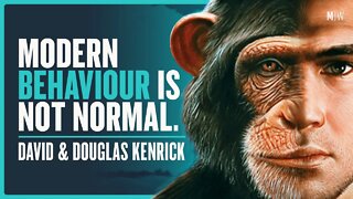 Evolved Psychology Vs The Modern World - David & Douglas Kenrick | Modern Wisdom Podcast 515