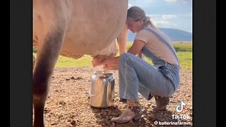 Mrs. America, 2023, lives on a farm with her husband and seven children - HaloRock