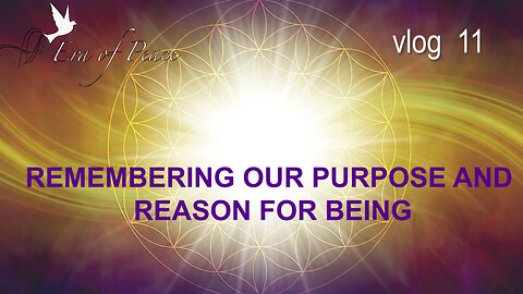 VLOG 11 - REMEMBERING OUR PURPOSE AND REASON FOR BEING