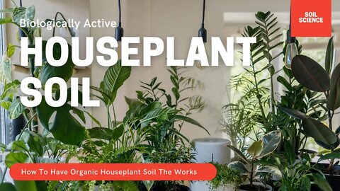 Organic Potting Soil For Houseplants The Works. Why Sterile Potting Soil Is A Really BAD idea!