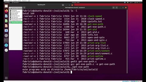 get-exe-path.c - Pega o Caminho do Executável do Programa sendo Executado Atualmente no Linux