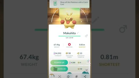 #pokemon #Pokémon #pokemongo #pokémongo #pokemoncommunity #poketube #pokemonyoutube