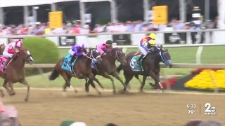 National Treasure wins 148th Preakness Stakes