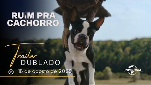 Ruim pra Cachorro | Trailer oficial dublado | 2023