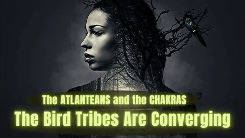 The ATLANTEANS and the CHAKRAS ~ From Pyramid of Life To Circle of Life ~ Bird Tribes Are Converging