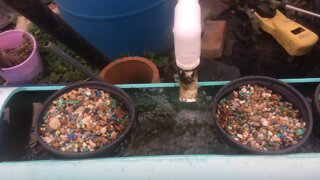 Hydroponics System 2019