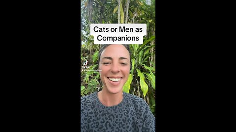 Cats or Men as Companions