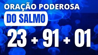 Oração Poderosa Com os Salmo 23, Salmo 91 e Salmo 1