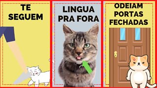 8 COMPORTAMENTOS ESTRANHOS DE GATOS EXPLICADOS - links na descrição