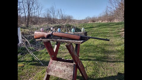 Easter egg hunt with the Buckmark .. Mossberg 44 and the Henry h003t