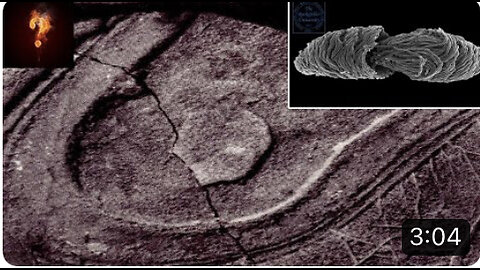 15 Million Year Old Shoe Print Found On Lump Of Coal