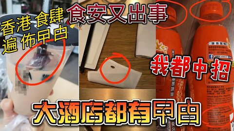 香港食肆遍佈曱甴!?大酒店都出事,我都中招! | 食物安全 #蟑螂 #曱甴 #小強