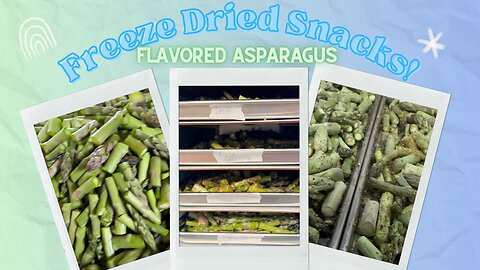 Asparagus Snacks, from the Freeze Dryer