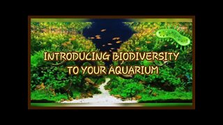 INTRODUCING BIODIVERSITY TO YOUR AQUARIUM