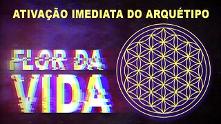 Ativação imediata flor da vida (re-up)