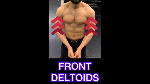 FRONT DELT RAISE #shorts #youtubeshorts