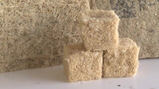 Hempitecture makes insulation out of industrial hemp