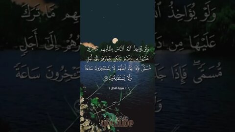 لو يؤاخذ الله الناس بظلمهم ما ترك عليهاهاديء#مؤثر#حالات_دينيه