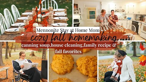FALL Faves, canning, Hosting an autumn dinner | Mennonite Mom homemaking| MSA3S air purifier review