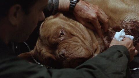 Turner and Hooch "Just gotta get you home" scene