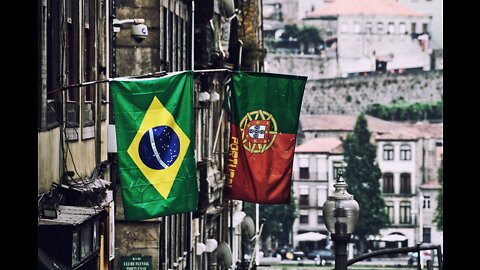 Morar em Portugal, Tipos de Brasileiros