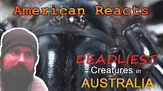 American Reacts to Top 15 Deadliest Creatures in Australia